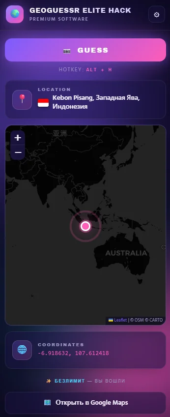 GeoGuesser Elite Assistant — игровой HUD с координатами